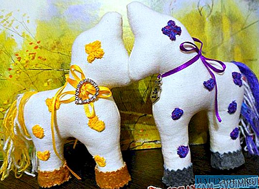 DIY soft toy "girlfriend - horse"