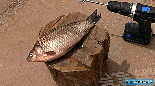 Насадка на шуруповерт для очищення риби від луски