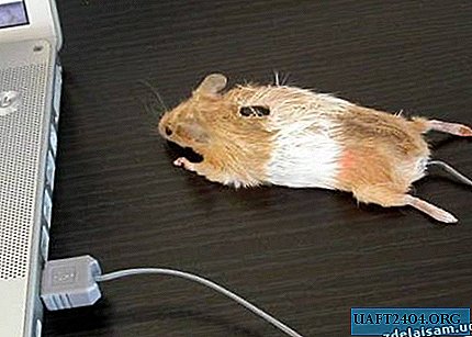Real mouse for a computer