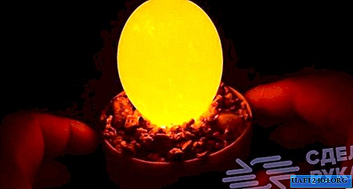 Luz de noche de huevo de gallina