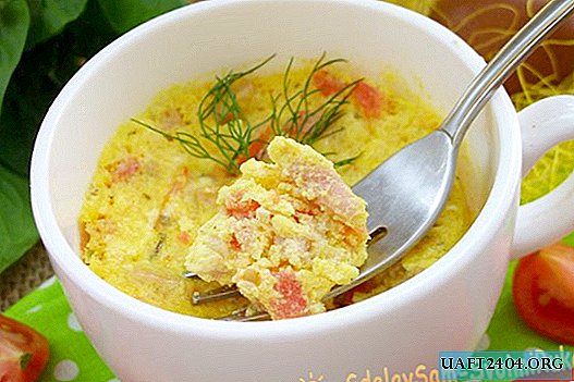 Omelete em uma caneca no microondas - um café da manhã rápido, saudável e saboroso
