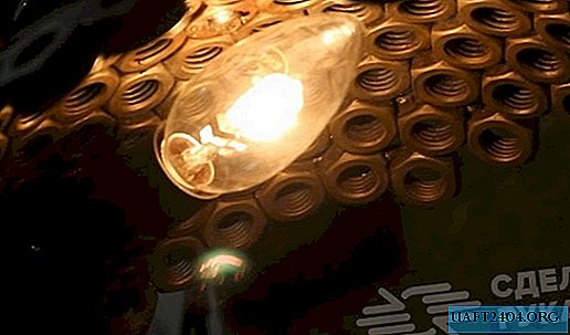 Lampe de table originale en noix