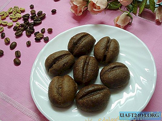 Biscoitos originais para os amantes do café