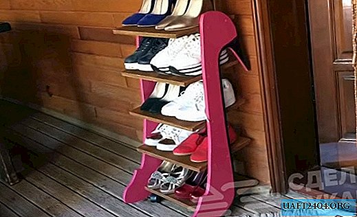 Mobile shoe rack on casters