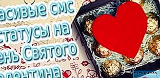 Izbor SMS-jev, statusov, čestitk za valentinovo