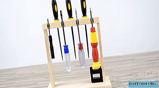 Wooden stand with magnetic holders for screwdrivers