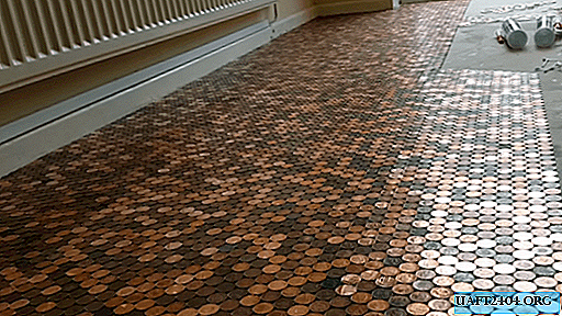 The floor made of coins, the real embodiment of the idea