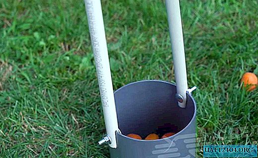 A device for collecting apricots that have fallen on the ground
