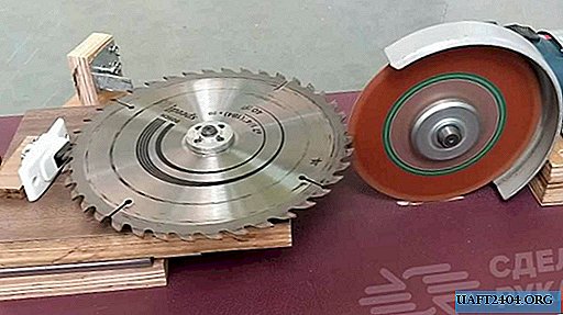 Tool for automatic sharpening a circular saw