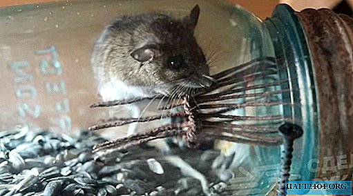 Simple homemade secret mouse trap