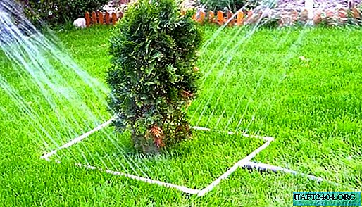 Simple lawn irrigation system in the country
