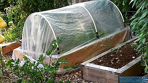 Do-it-yourself simple PVC pipe greenhouse