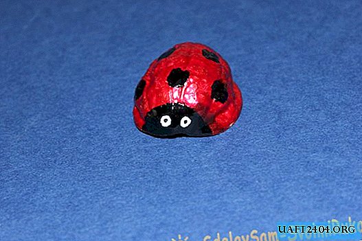 Simple robot - ladybug