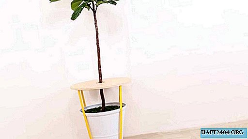 Eenvoudige tafel met vijgenboom standaard