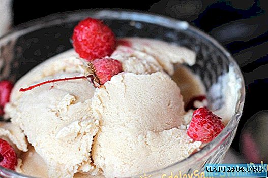 Homemade Ice Cream Recipe