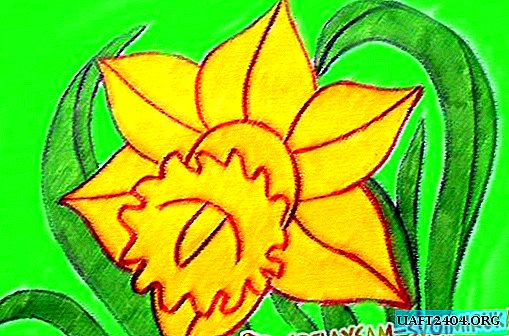 Lukiskan daffodil