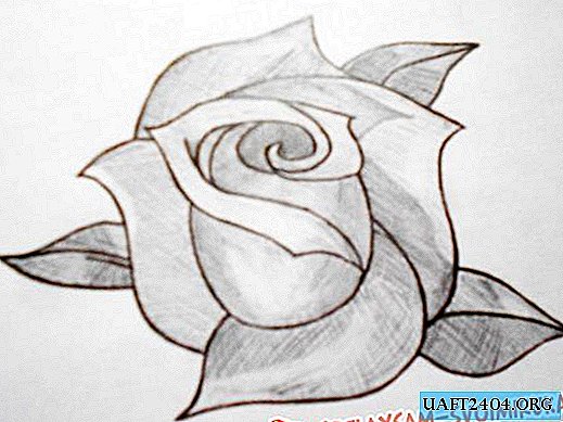 Zeichne eine Rose