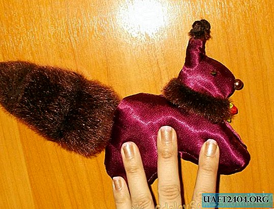 Écureuil roux d'une chemise de femme