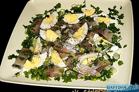 Russian salad of light-salted herring and eggs
