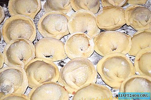 De mest läckra hemlagade dumplings