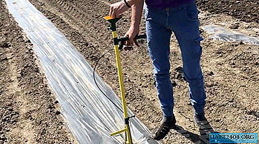 Arma caseira para plantar sementes no chão