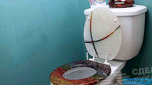 Seat with toilet lid: epoxy and colored pencils