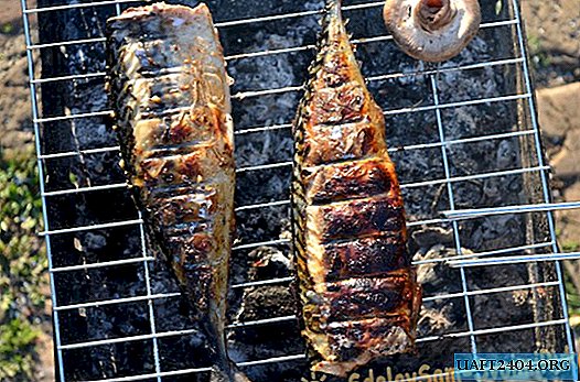 Mackerel on the grill