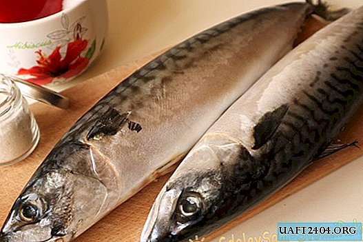 Salted mackerel at home