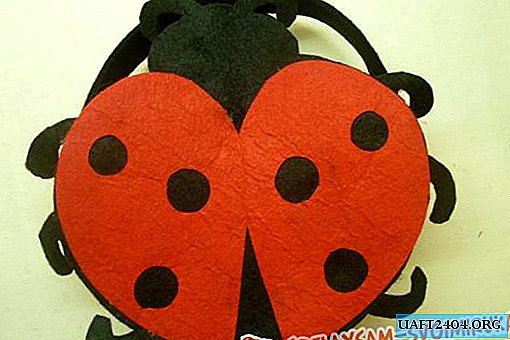 Bolso para la niña "Ladybug"