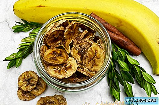 Dried bananas - a healthy treat