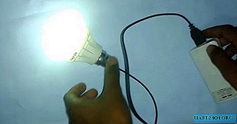 المصباح الكهربائي DIY