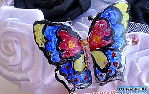 Vitráže motýľ
