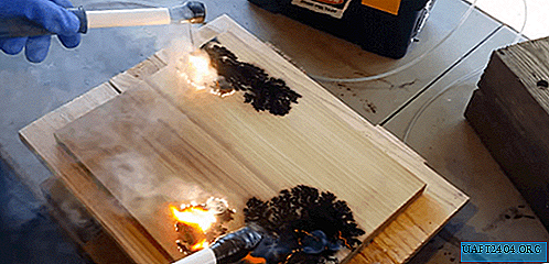 Hořící blesky na stromě s mikrovlnným transformátorem