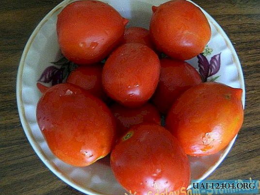 Tomates séchées au soleil pour l'hiver