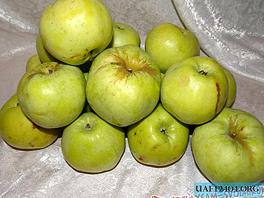 Roku ābolu pastille