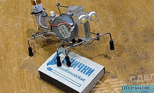 Funny do-it-yourself mechanical cockroach