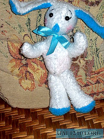 Bunny with blue ears