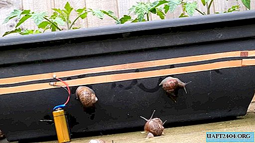 Proteger las plántulas de los caracoles con corriente eléctrica.