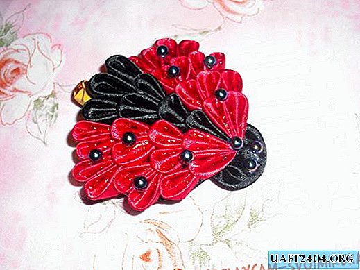 Hair clip "Ladybug"