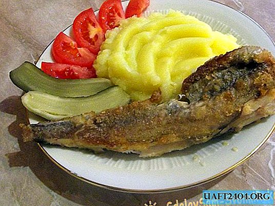 Fried blue whiting - fast, tasty, cheap