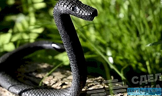 Dossier intérieur serpent